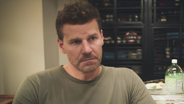 David Boreanaz lidera a volta de Arquivo Confidencial