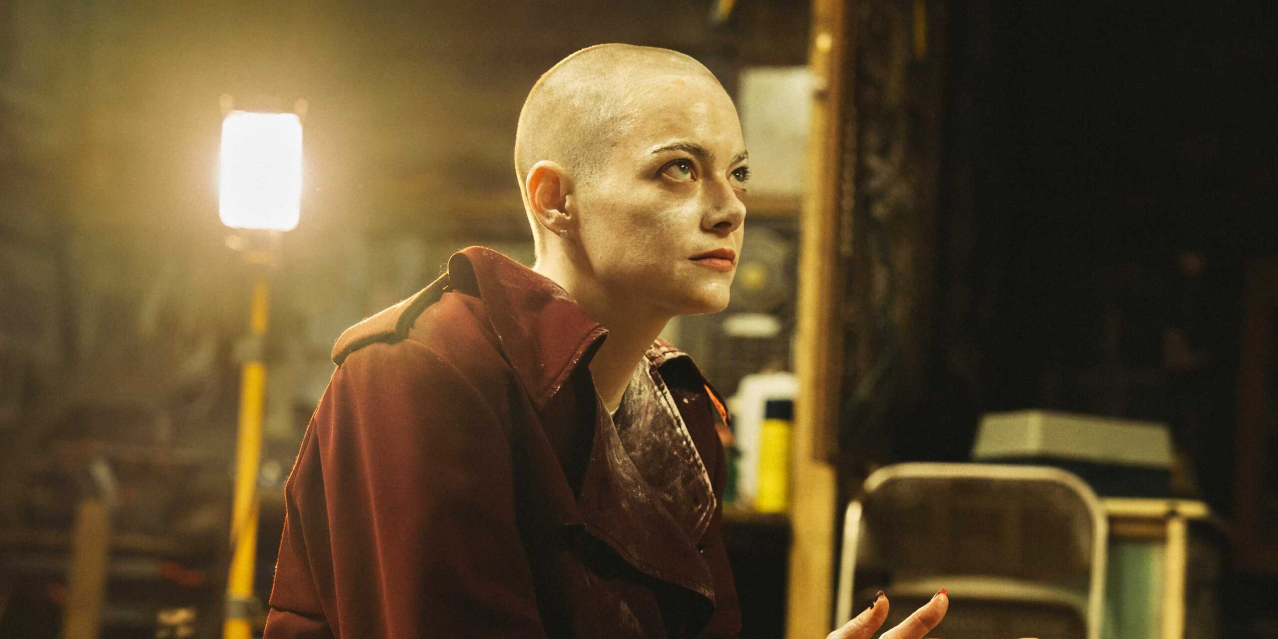 Emma Stone, careca, senta em frente a uma luz independente em Bugonia