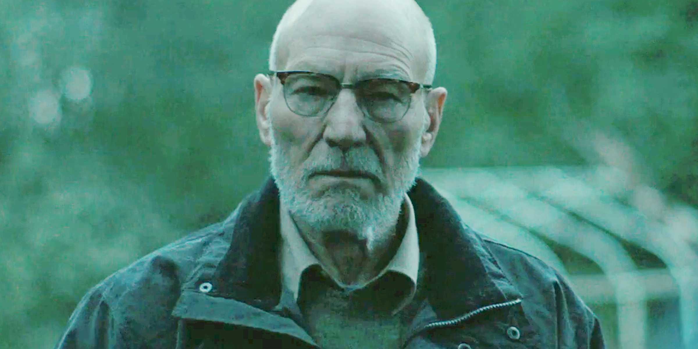 Patrick Stewart como líder de gangue em Green Room