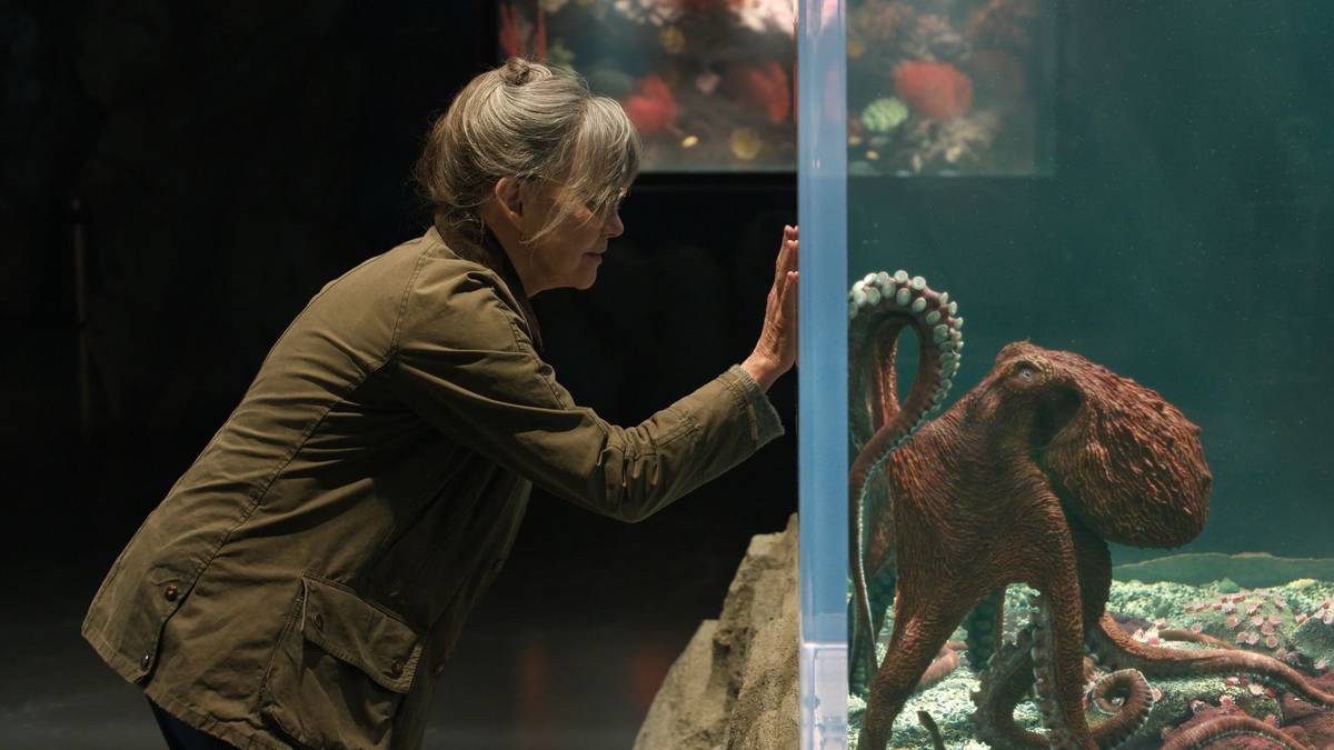 Remarkably Bright Creatures perde força ao correr na Netflix