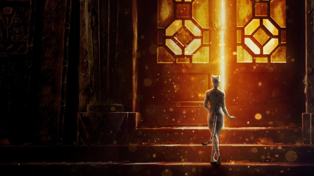 Cats — imagem 4