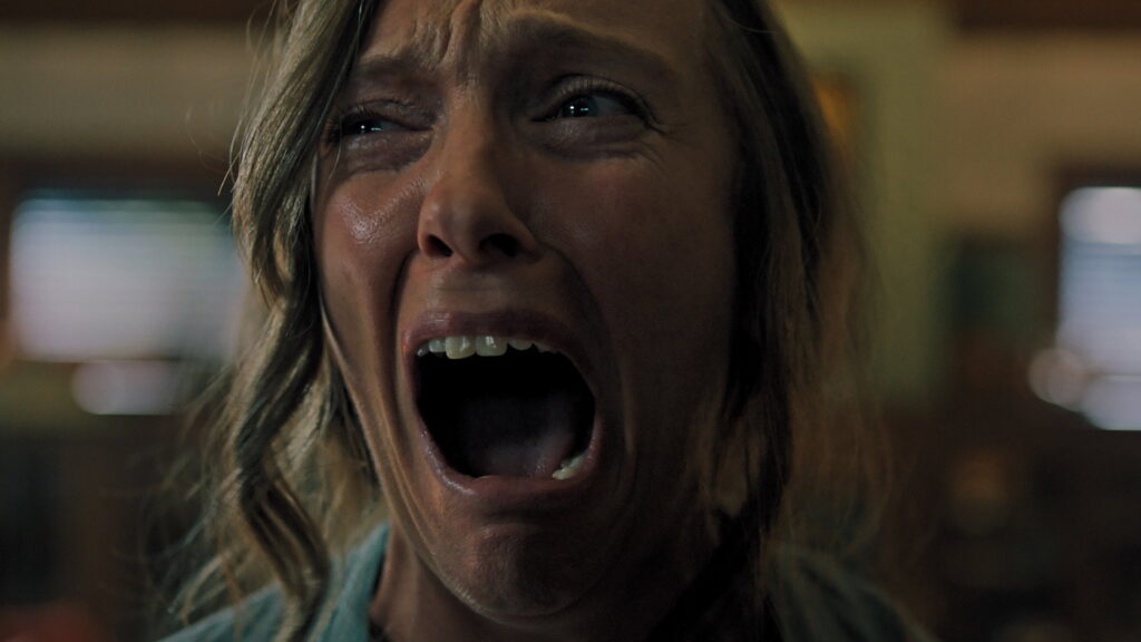 Hereditário — imagem 3
