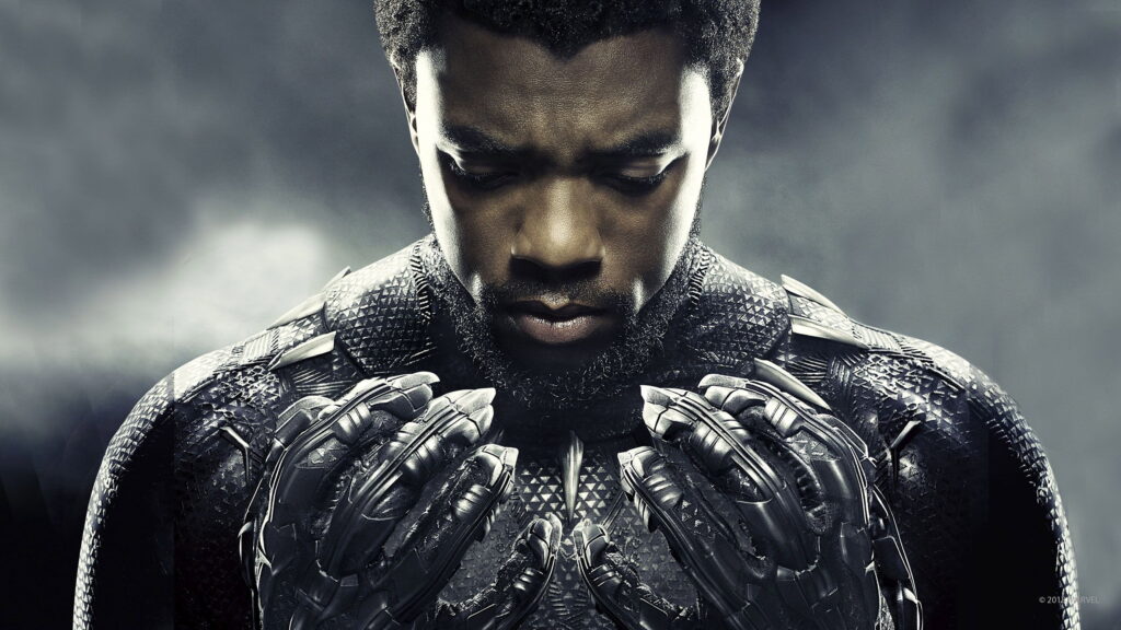 Pantera Negra — imagem 5