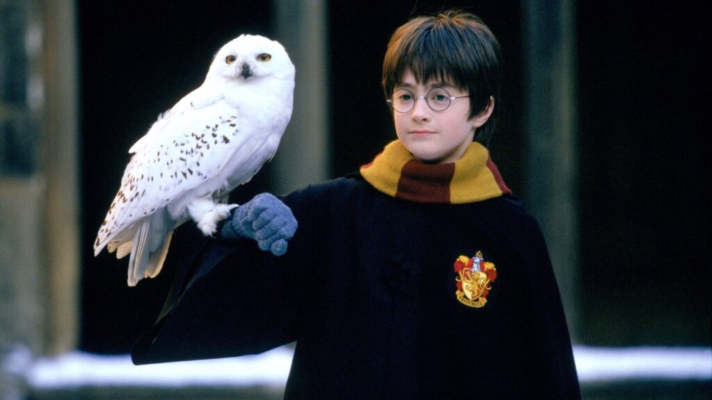 Harry Potter e a Pedra Filosofal — imagem 6