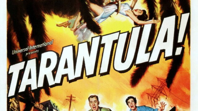 Tarântula!