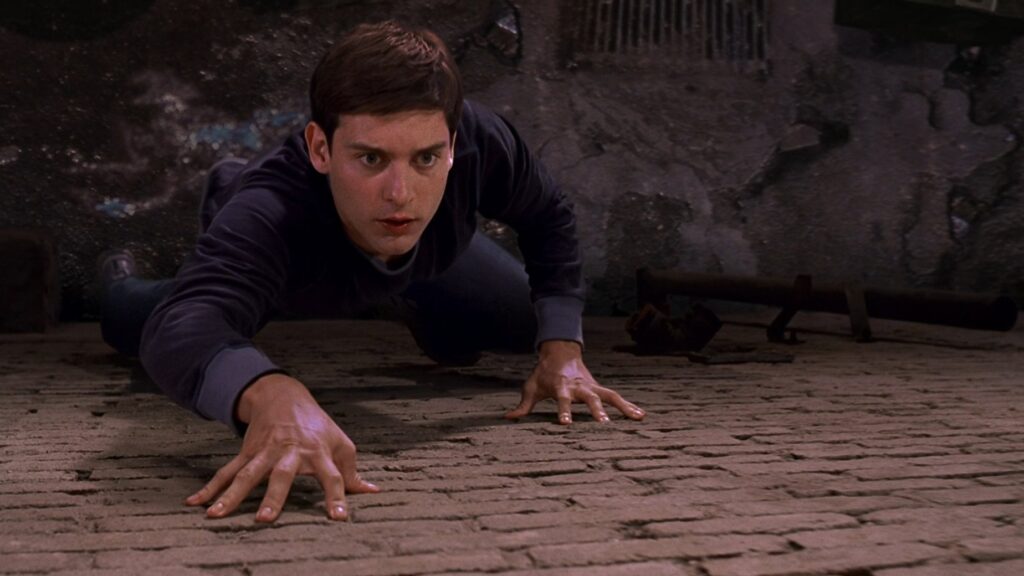 Homem-Aranha — imagem 5
