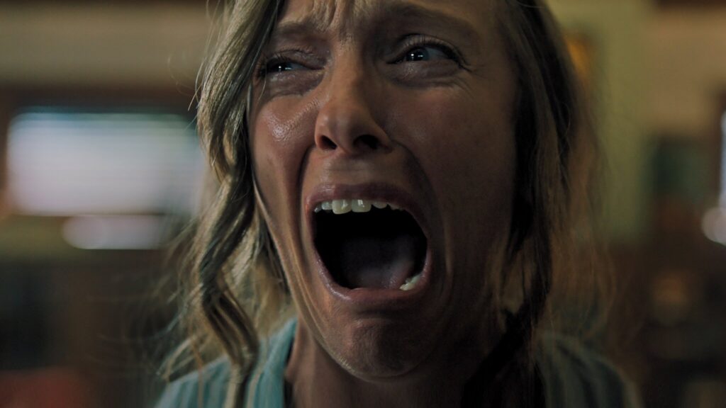Hereditário — imagem 8