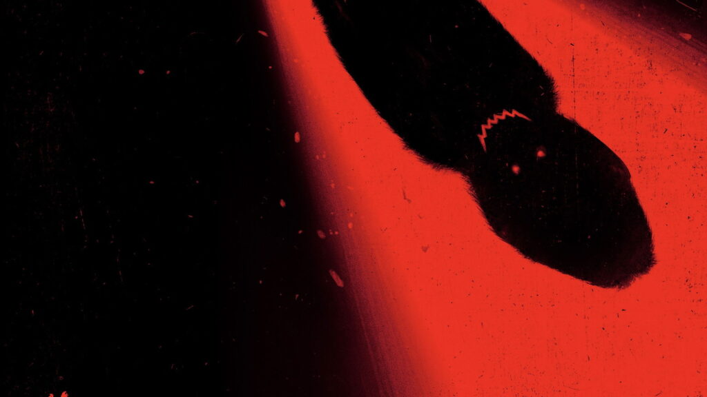 O Primata — imagem 8