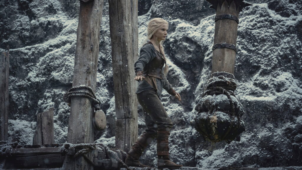 The Witcher — imagem 8