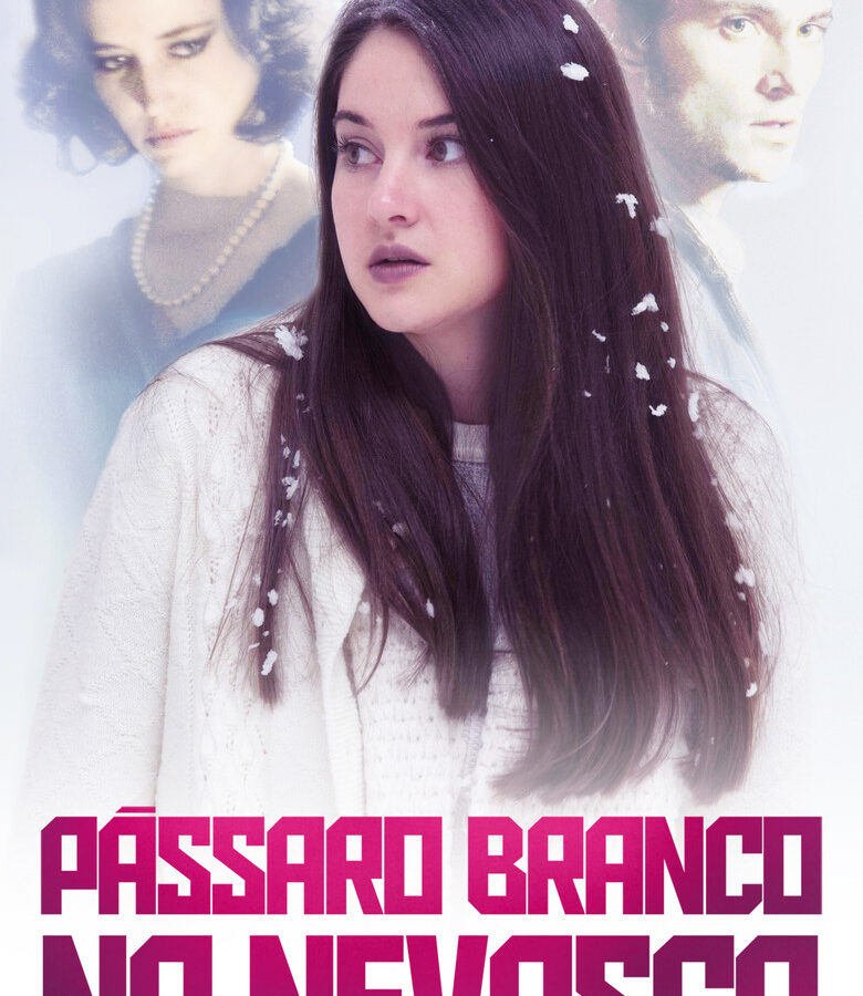 Pássaro Branco na Nevasca - poster