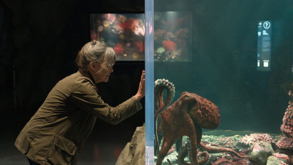Criaturas Extraordinariamente Brilhantes — imagem 3