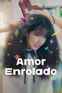 Amor Enrolado - poster