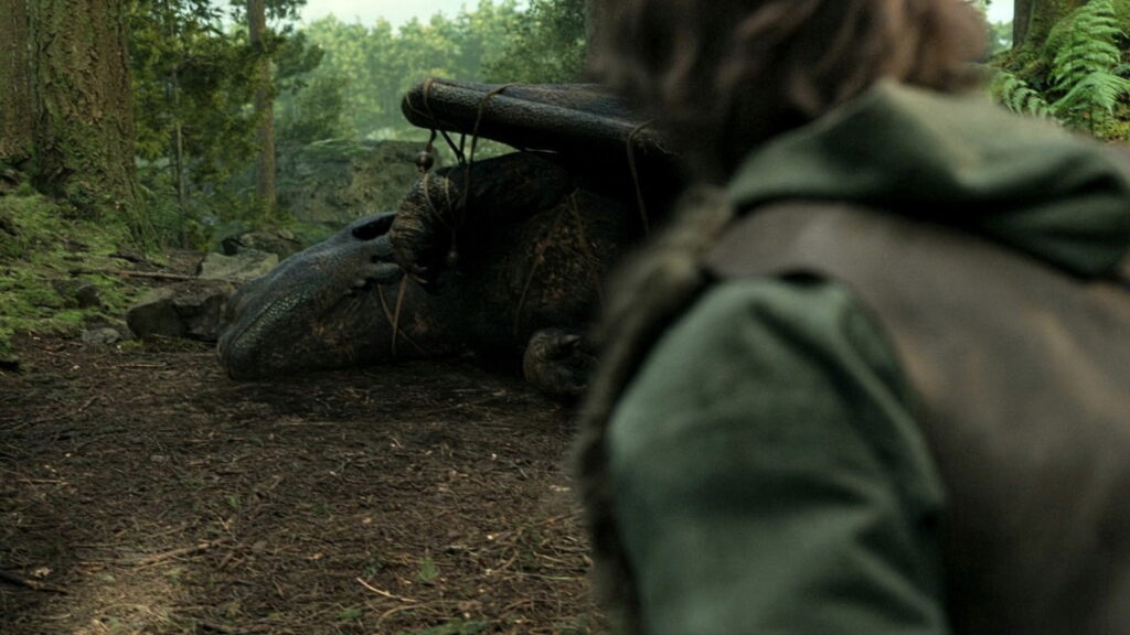 Como Treinar o Seu Dragão — imagem 3
