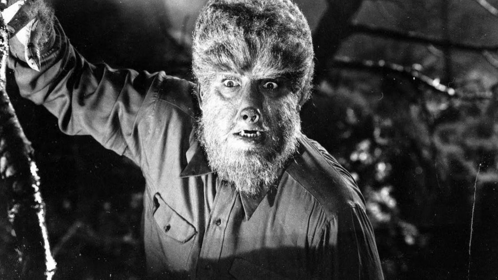 Werwulf e o terror medieval mais bruto de Eggers — foto de divulgação
