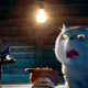 Gatto estreia no Brasil com visual ousado da Pixar