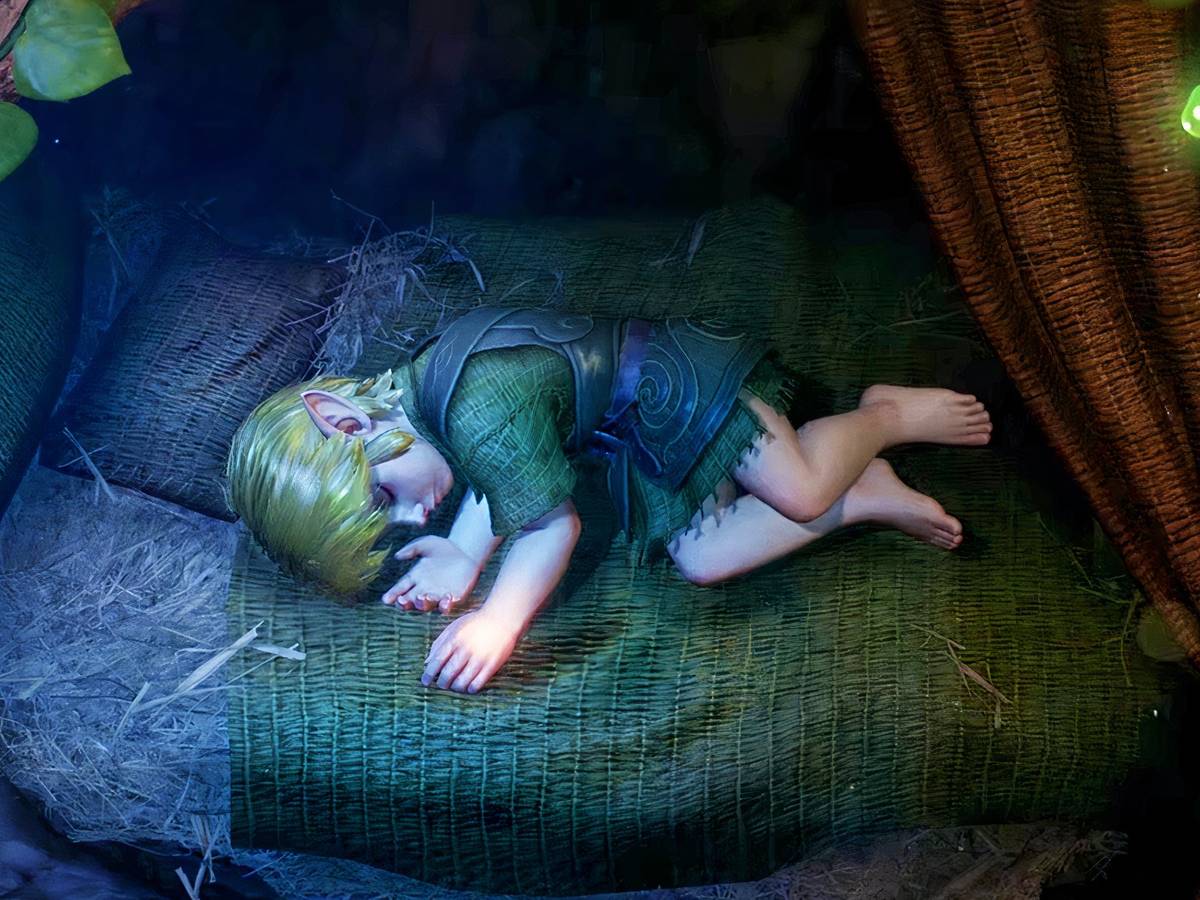 Wind Waker volta como luxo para poucos na pré — foto de divulgação