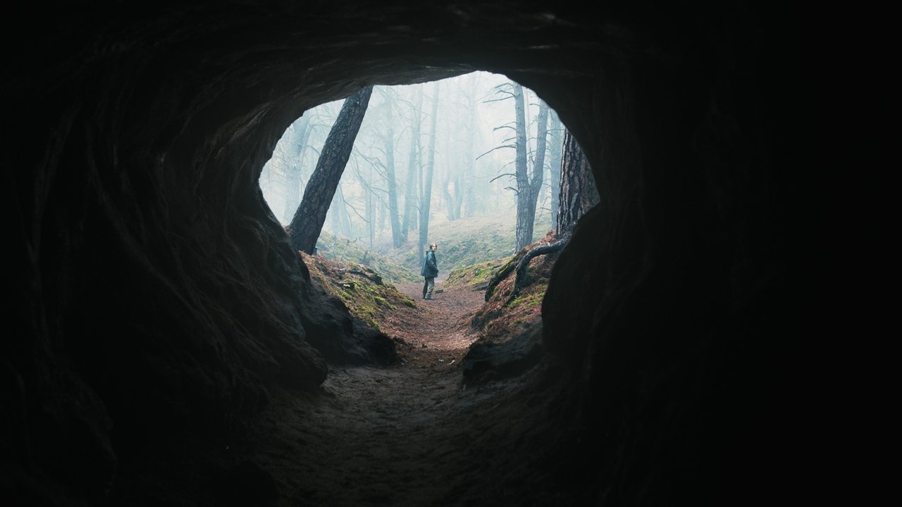 Floresta densa e enevoada com uma entrada de caverna sombria