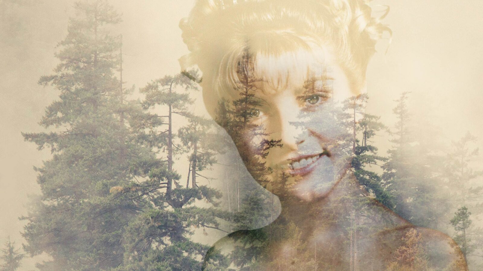 Quem matou Laura Palmer? O mistério de Twin Peaks que marcou a TV