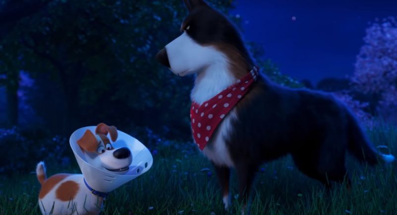 Cena de Pets: A Vida Secreta dos Bichos 2 com Max e Rooster em ambiente de fazenda