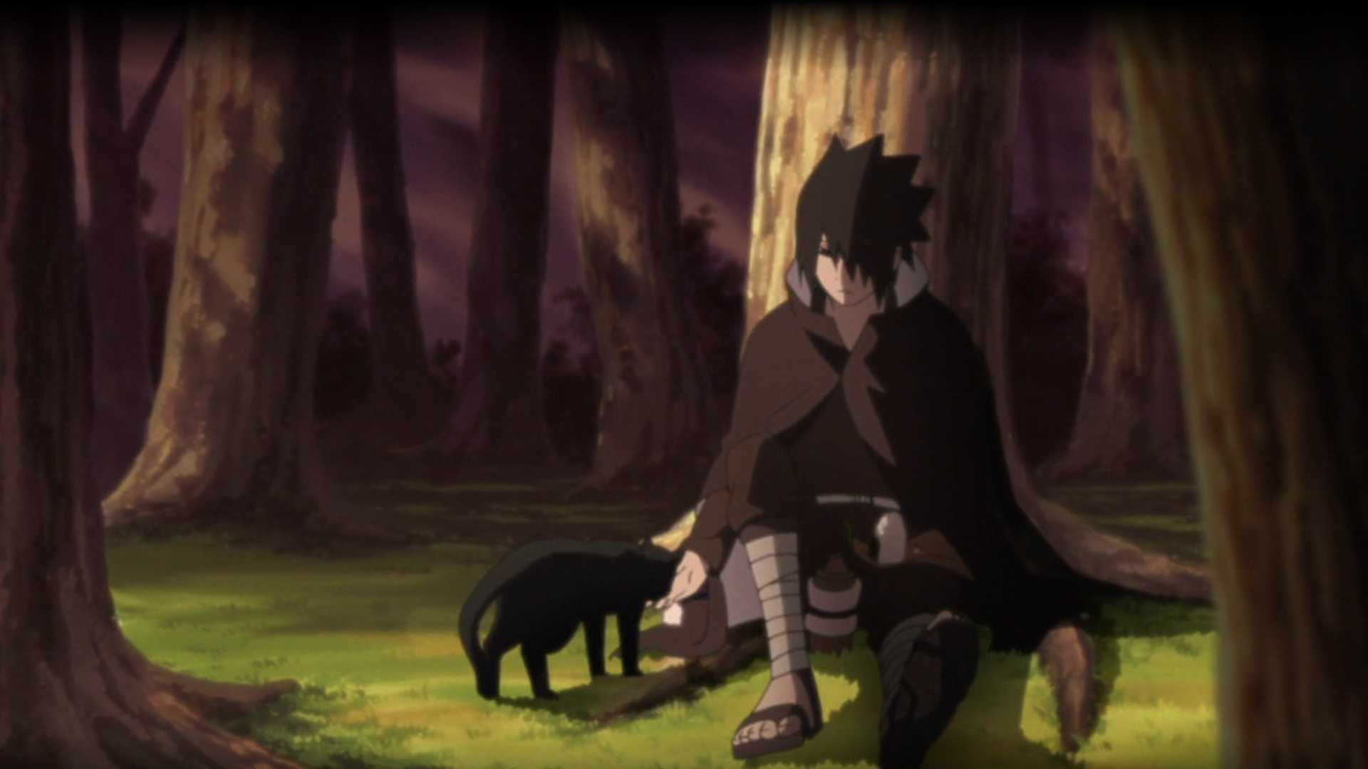 Sasuke Uchiha alimentando um gato em Naruto Shippuden Episódio 484