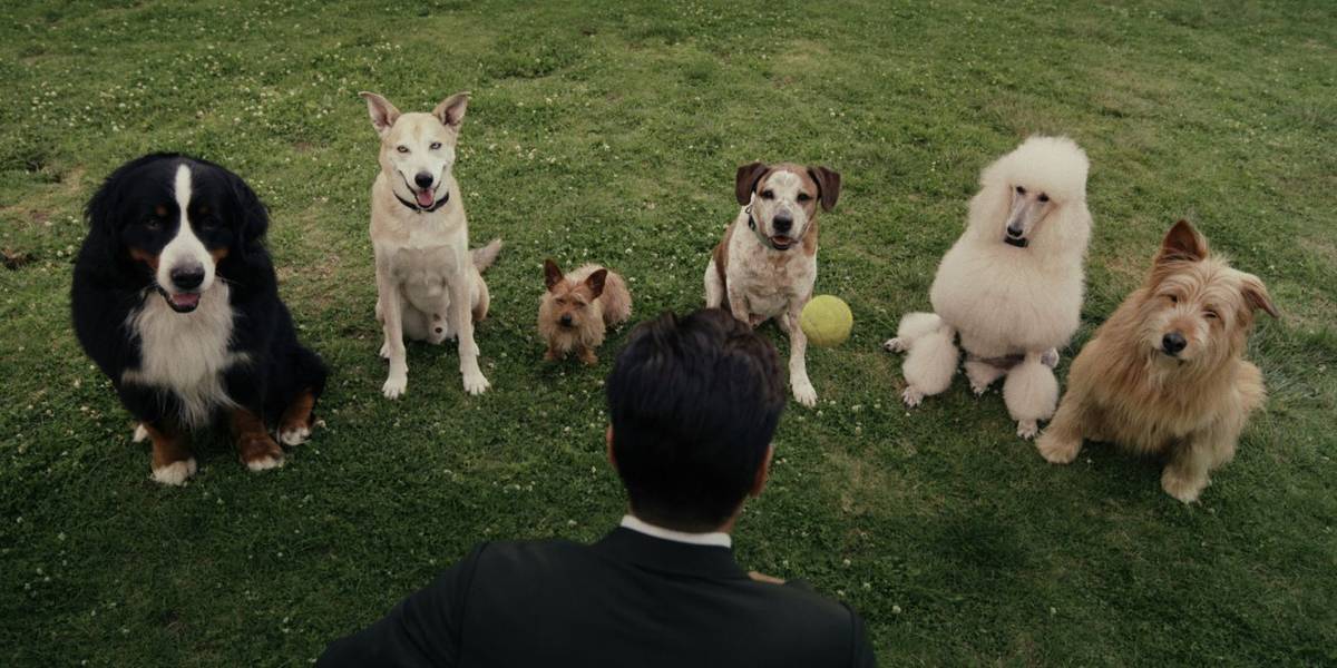 Colin Farrell como John Sugar, levantando uma bola de tênis na frente de um grupo de cachorros em Sugar temporada 2