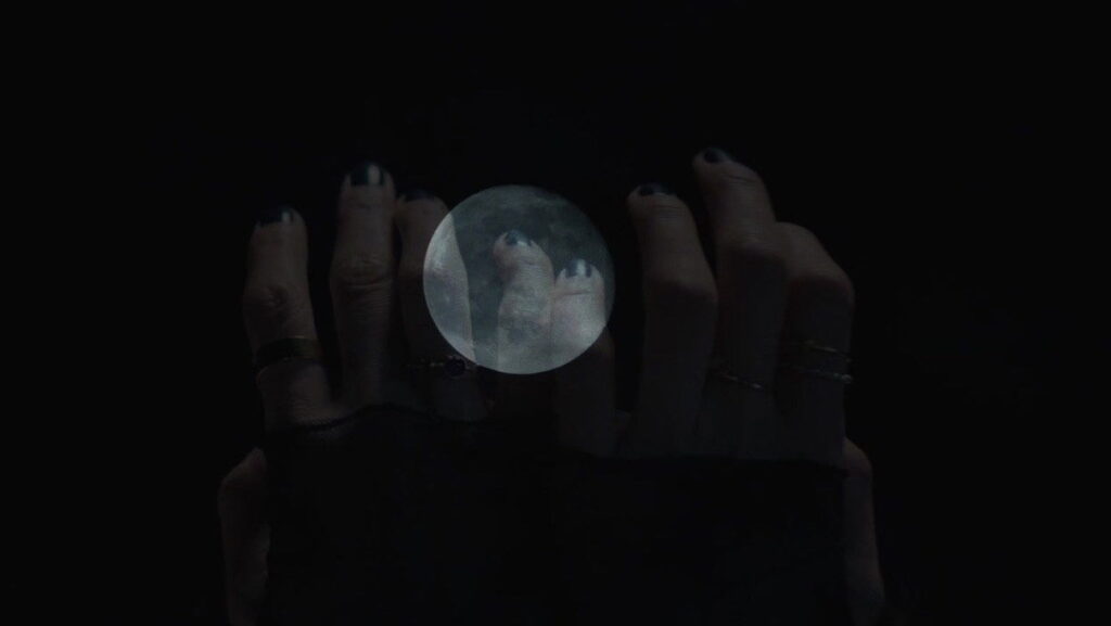 Halloween Ends: O Acerto de Contas Final — imagem 5