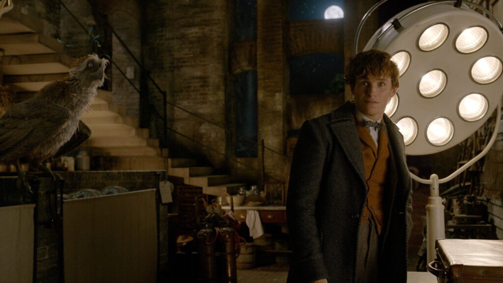 Animais Fantásticos: Os Crimes de Grindelwald — imagem 8