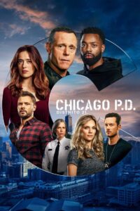 Chicago P.D.: Distrito 21 - poster