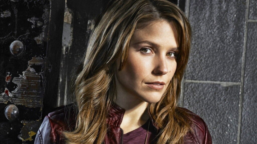 Chicago P.D.: Distrito 21 — imagem 7