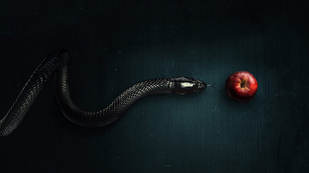 Evil: Contatos Sobrenaturais — imagem 1