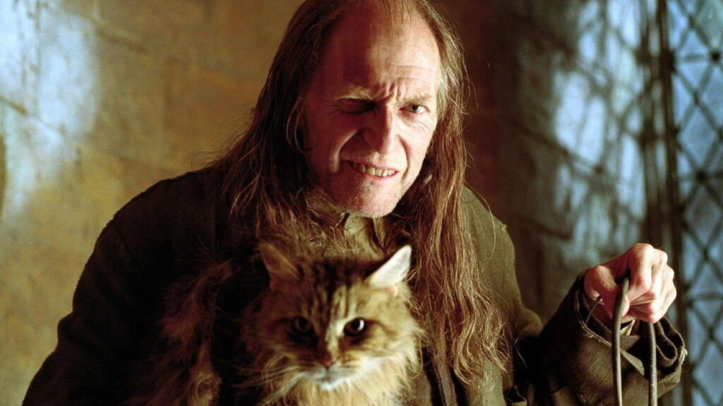 Harry Potter e o Cálice de Fogo — imagem 8