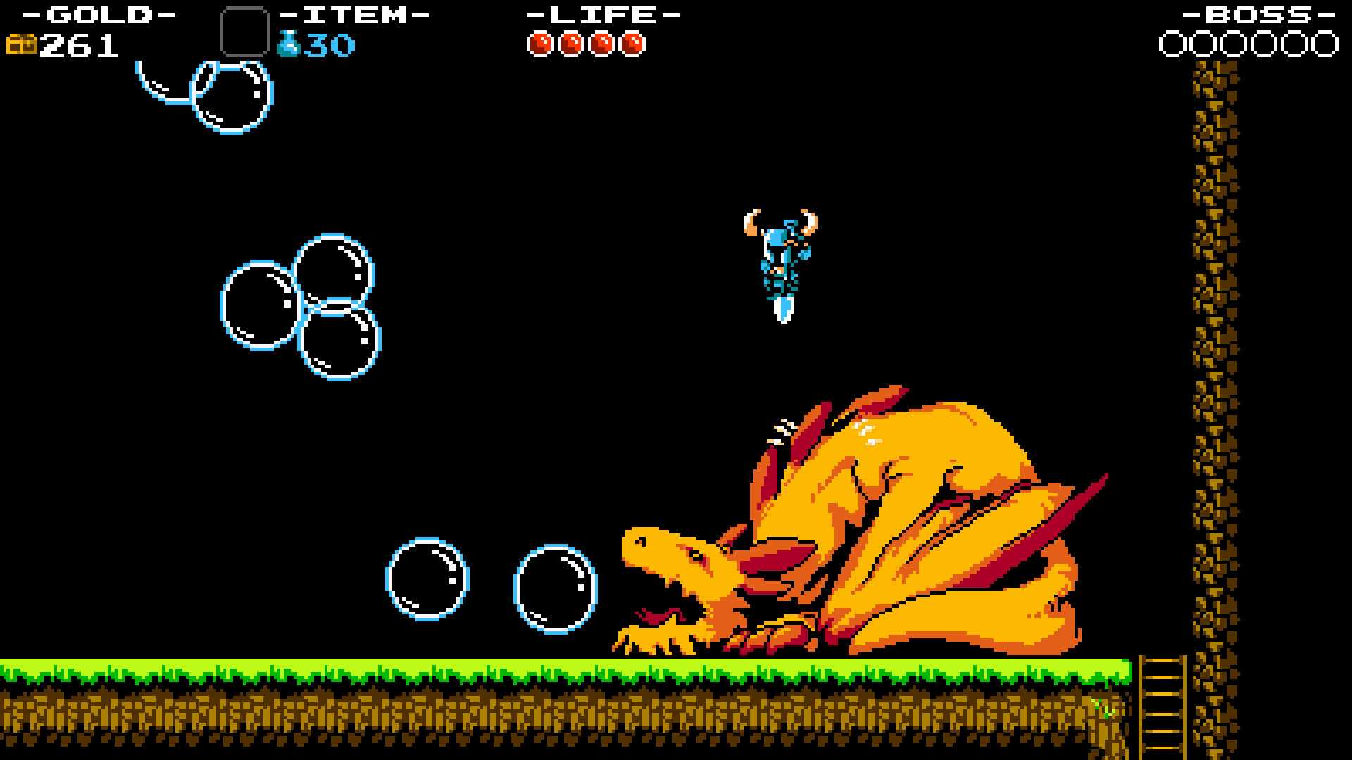 Shovel Knight fighting a dragon